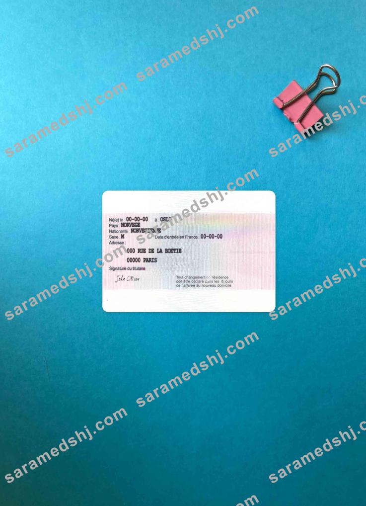 France residence permit version 3 photolook BACK